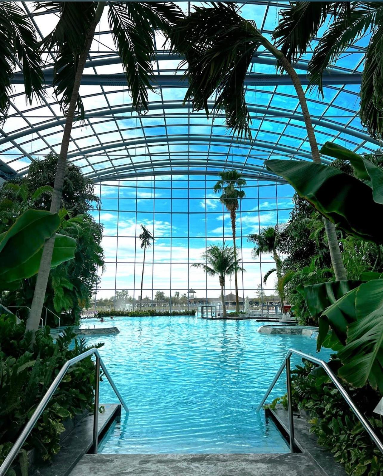 Mona Apartment Taxi#Airport #Parking#Bucharest#Therme Otopeni Kültér fotó